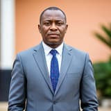 Hon. Ndudi Elumelu